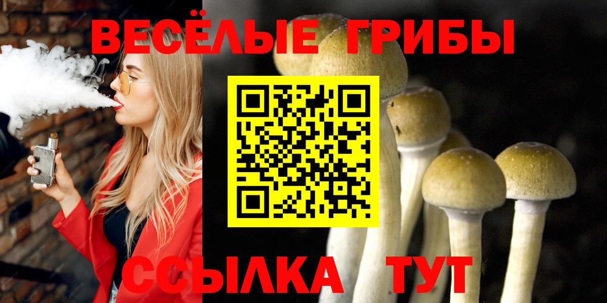 Псилоцибиновые грибы ЛСД  Вход с VPN  Кировск 