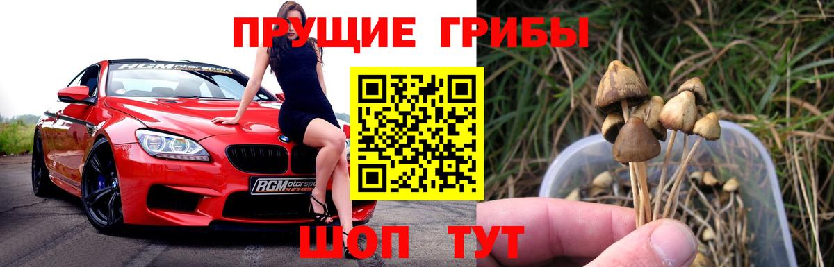 Галлюциногенные грибы ЛСД Кировск